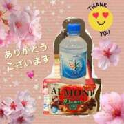 ヒメ日記 2026/04/01 11:10 投稿 ゆうり 横浜ミセスアロマ（ユメオト）