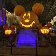 ヒメ日記 2025/10/04 11:49 投稿 りの 萌えコス