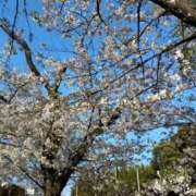 ヒメ日記 2026/04/04 12:34 投稿 まりこ 池袋おかあさん