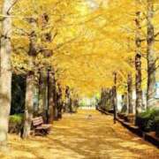 ヒメ日記 2025/11/11 00:14 投稿 みわこ 池袋おかあさん