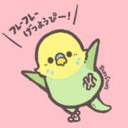 ヒメ日記 2025/11/17 10:54 投稿 みわこ 池袋おかあさん