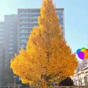 ヒメ日記 2025/12/05 12:14 投稿 みわこ 池袋おかあさん