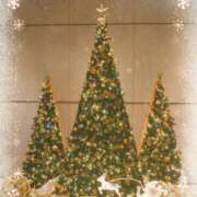 ヒメ日記 2025/12/14 11:34 投稿 みわこ 池袋おかあさん