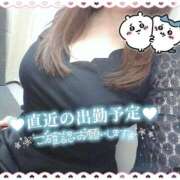 ヒメ日記 2026/04/11 14:44 投稿 みわこ 池袋おかあさん