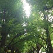 ヒメ日記 2026/09/18 09:56 投稿 みわこ 池袋おかあさん