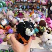 ヒメ日記 2025/10/02 22:38 投稿 白石　ゆめか 未熟な人妻