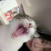 ヒメ日記 2026/01/05 14:41 投稿 ゆり 隙のあるエステ