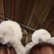 ヒメ日記 2025/12/20 19:54 投稿 まあや奥様 なすがママされるがママ春日部