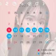 ヒメ日記 2025/11/06 14:05 投稿 きぃ IRIS(岐阜)