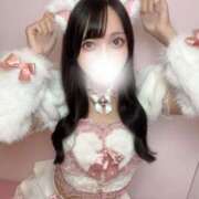 ヒメ日記 2025/10/09 11:23 投稿 あやな JAPAN CLUB BUNNY LOUNGE