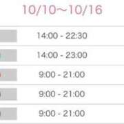 ヒメ日記 2025/10/10 15:21 投稿 ひな 奥様メモリアル