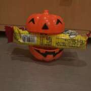 ヒメ日記 2025/10/13 18:12 投稿 ひな 奥様メモリアル