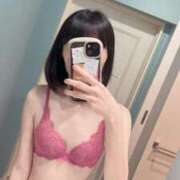 ヒメ日記 2025/11/04 12:48 投稿 ひな 奥様メモリアル