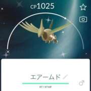 ヒメ日記 2026/01/17 14:18 投稿 ひな 奥様メモリアル