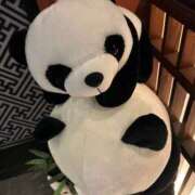 ヒメ日記 2026/04/06 19:51 投稿 ひな 奥様メモリアル