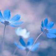 新人・さゆり お久しぶりです。 CLASSY.名古屋・新栄店