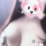 ひなか 内緒の時間…♡ 奥様メモリアル