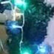 ヒメ日記 2025/12/25 22:03 投稿 森山 つばき HANA-okinawa-