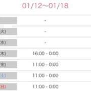 ヒメ日記 2026/01/12 20:51 投稿 稗田めいさ 全裸にされた女たちor欲しがり痴漢電車
