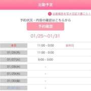 ヒメ日記 2026/01/25 20:32 投稿 稗田めいさ 全裸にされた女たちor欲しがり痴漢電車