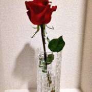 ヒメ日記 2025/12/16 16:39 投稿 滝川恵理 五反田サンキュー