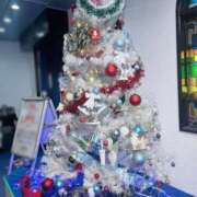 ヒメ日記 2025/12/08 12:28 投稿 くらら 吉原ファーストレディ