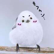 ヒメ日記 2025/12/17 17:06 投稿 高橋じゅりな 宇都宮CLUB