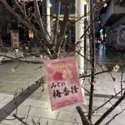 ヒメ日記 2026/02/18 13:10 投稿 らん ハピネス水戸