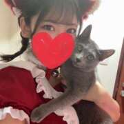 ヒメ日記 2026/04/04 13:43 投稿 らん ハピネス水戸