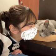 ヒメ日記 2026/09/27 15:00 投稿 らん ハピネス水戸