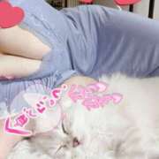 ヒメ日記 2026/03/09 11:24 投稿 きい G-SPOT