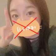 ヒメ日記 2025/09/26 14:44 投稿 いつき スピード梅田店