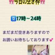 ヒメ日記 2026/02/07 14:36 投稿 ゆい Lolipop（ロリポップ）