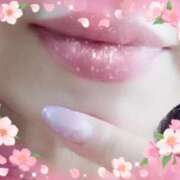 ヒメ日記 2025/09/22 12:45 投稿 こゆき マダム可憐