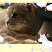 こゆき ありがとうございます。 マダム可憐