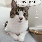 ヒメ日記 2025/09/24 23:31 投稿 美桜(みお) 可憐な妻たち 太田店