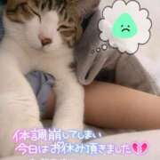 ヒメ日記 2025/09/29 13:29 投稿 美桜(みお) 可憐な妻たち 太田店