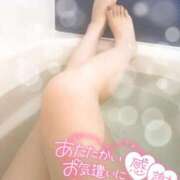 ヒメ日記 2025/10/04 23:01 投稿 美桜(みお) 可憐な妻たち 太田店