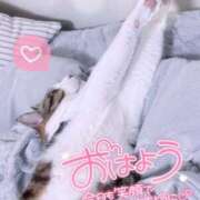 ヒメ日記 2025/10/21 11:01 投稿 美桜(みお) 可憐な妻たち 太田店