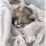 ヒメ日記 2025/10/22 08:42 投稿 美桜(みお) 可憐な妻たち 太田店