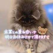 ヒメ日記 2025/11/18 22:38 投稿 美桜(みお) 可憐な妻たち 太田店