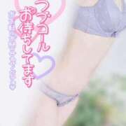 ヒメ日記 2025/11/25 11:00 投稿 美桜(みお) 可憐な妻たち 太田店