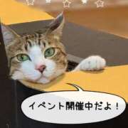 ヒメ日記 2025/12/17 16:37 投稿 美桜(みお) 可憐な妻たち 太田店