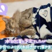 ヒメ日記 2025/12/29 17:39 投稿 美桜(みお) 可憐な妻たち 太田店