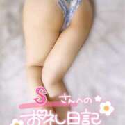 ヒメ日記 2026/01/16 13:37 投稿 美桜(みお) 可憐な妻たち 太田店