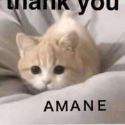 ヒメ日記 2025/10/03 13:19 投稿 あまね 完熟ばなな 谷九店