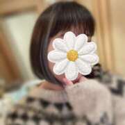 ヒメ日記 2026/01/27 14:29 投稿 松雪 好花 こあくまな熟女たち高崎店(KOAKUMAグループ)