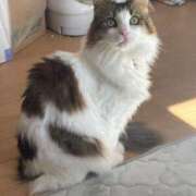 ヒメ日記 2025/11/26 05:08 投稿 ひびき チューリップ土浦店