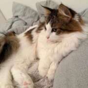 ヒメ日記 2025/11/26 15:38 投稿 ひびき チューリップ土浦店