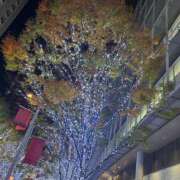 ヒメ日記 2025/11/19 11:25 投稿 ゆり[東京] 奥鉄オクテツ神奈川店（デリヘル市場グループ）